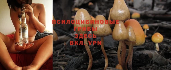 МДПВ Зеленокумск