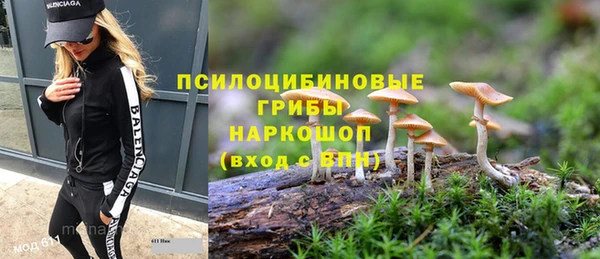 МДПВ Зеленокумск