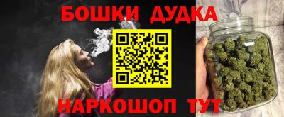 молекула духа Новозыбков