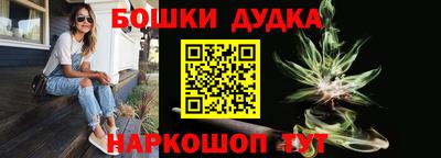молекула духа Новозыбков