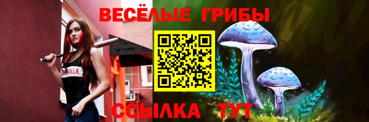 Псилоцибиновые грибы MAGIC MUSHROOMS  Вход с VPN  Искитим 